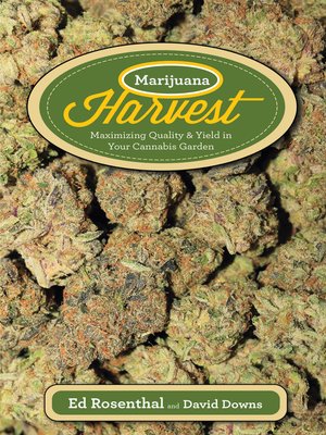 cover image of Marijuana Harvest